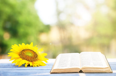 How To Trust God in a Season of Drought | Jeremiah 17:5-8