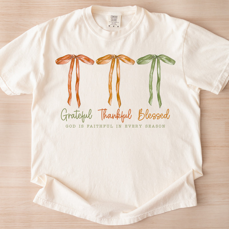 Grateful Thankful Blessed - Comfort Colors Tee